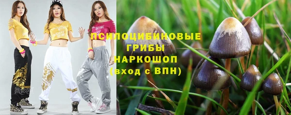 стафф Арсеньев